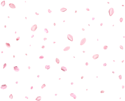 Falling realistic sakura petals. png