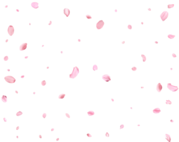 Light pink sakura petals. png