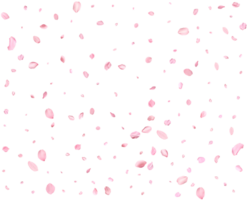 Pink Spring Japanese Cherry petals. png