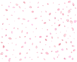 Pink Spring Japanese Cherry petals. png