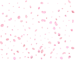 Japanese Spring petals cherry. png