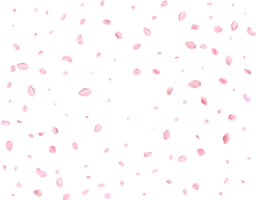 Japanese Spring petals cherry. png