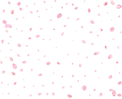 Pink Spring Japanese Cherry petals. png