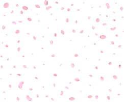 Pink Spring Japanese Cherry petals. png