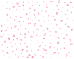 Japanese Spring petals cherry. png