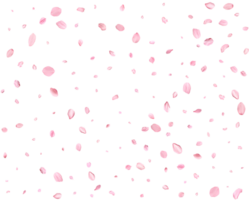 Pink Spring Japanese sakura petals. png