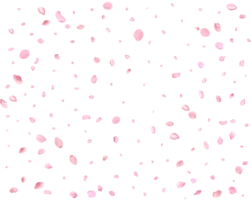 Pink Spring Japanese sakura petals. png