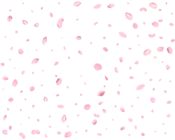 Pink Spring Japanese Cherry petals. png