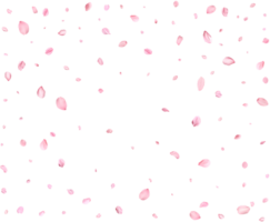 Pink Spring Japanese Cherry petals. png