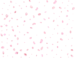 Pink Spring Japanese Cherry petals. png