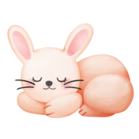 mignonne lapin en train de dormir aquarelle png