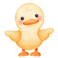 cute baby duck colorful watercolor isolate png