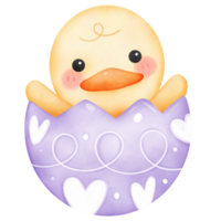 cute baby duck hatching from pink easter egg colorful watercolor isolate png