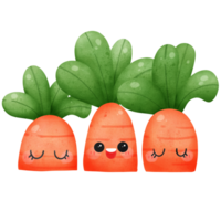 cute fresh three carrots gangster funny colorful watercolor isolated png