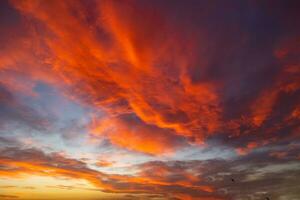 Cloudscape at sunset. Orange clouds at sunset or sunrise photo
