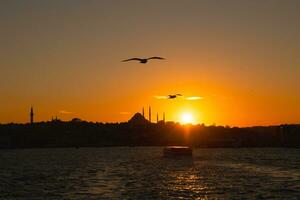 Estanbul silueta. gaviotas y silueta de suleymaniye mezquita foto