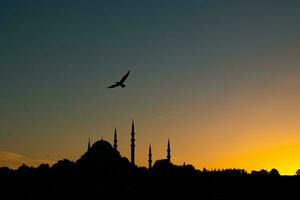 silueta de suleymaniye mezquita y Gaviota a puesta de sol. islámico foto