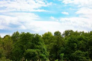 Forest and cloudy sky. Carbon net zero or carbon neutrality concept photo