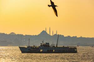 Istanbul background photo. Ferry and seagull with Suleymaniye Mosque photo