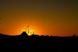 suleymaniye y fatih mezquita siluetas con Gaviota a puesta de sol. foto