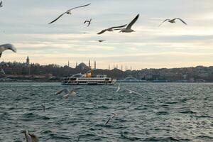 Estanbul horizonte con gaviotas y transportar. viaje a Estanbul antecedentes foto. foto