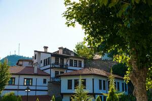 goynuk ver con arboles y tradicional casas foto