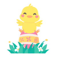 Cartoon chick with Easter eggs in the grass and Easter egg search activity with children. png