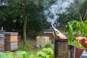 Apiculture or beekeeping concept photo. Bee smoker in the apiary photo