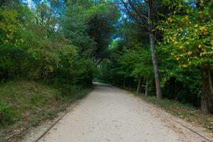 Jogging trail in the park in the autumn. Ataturk City Forest. photo