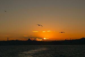 silueta de Estanbul y gaviotas a puesta de sol. foto