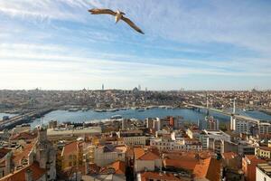 Estanbul vista. Gaviota y paisaje urbano de Estanbul foto