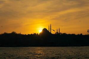 Silhouette of Suleymaniye Mosque and seagull. Islamic or ramadan photo