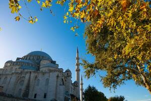 suleymaniye mezquita y otoño árbol. viaje a Estanbul antecedentes foto