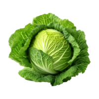 AI generated Green Cabbage isolated on transparent background png