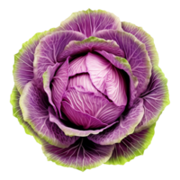 AI generated Green Cabbage isolated on transparent background png