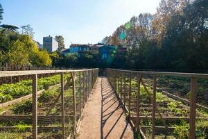 Famous market garden in Kuzguncuk district of Istanbul photo