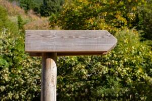 Blank wooden direction sign in the forest or a park. photo