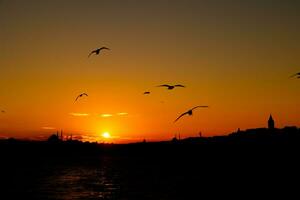 silueta de Estanbul a puesta de sol con galata torre y suleymaniye y gaviotas foto