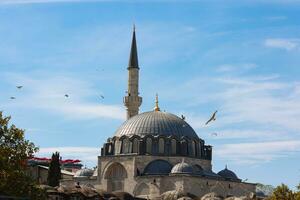 Rustem Pasa Mosque with seagulls on the sky. Ramadan or islamic concept photo