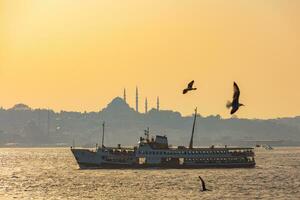 Estanbul antecedentes foto. transportar y gaviotas con paisaje urbano de Estanbul foto