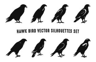 Set of Hawk Bird Vector Silhouettes, Hawk Birds Black Silhouette Collection