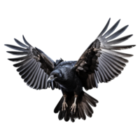 ai generado volador cuervo aislado en transparente antecedentes png