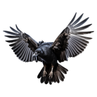 ai gerado vôo Raven isolado em transparente fundo png