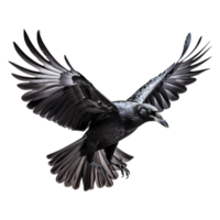 AI generated Flying raven isolated on transparent background png