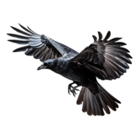 AI generated Flying raven isolated on transparent background png