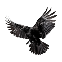 AI generated Flying raven isolated on transparent background png