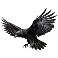 ai gerado vôo Raven isolado em transparente fundo png