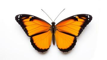 AI generated Photo of Butterfly isolated on white background. Generative AI