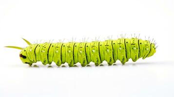 AI generated Photo of Caterpillar isolated on white background. Generative AI