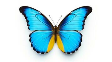 AI generated Photo of Butterfly isolated on white background. Generative AI